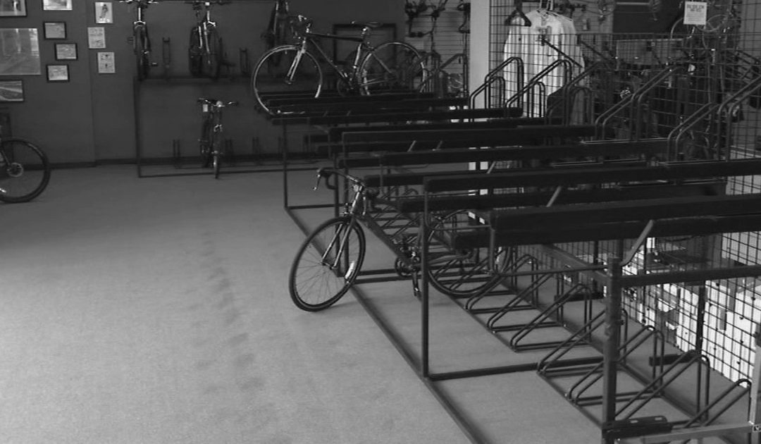 The Year the Bikes Disappeared