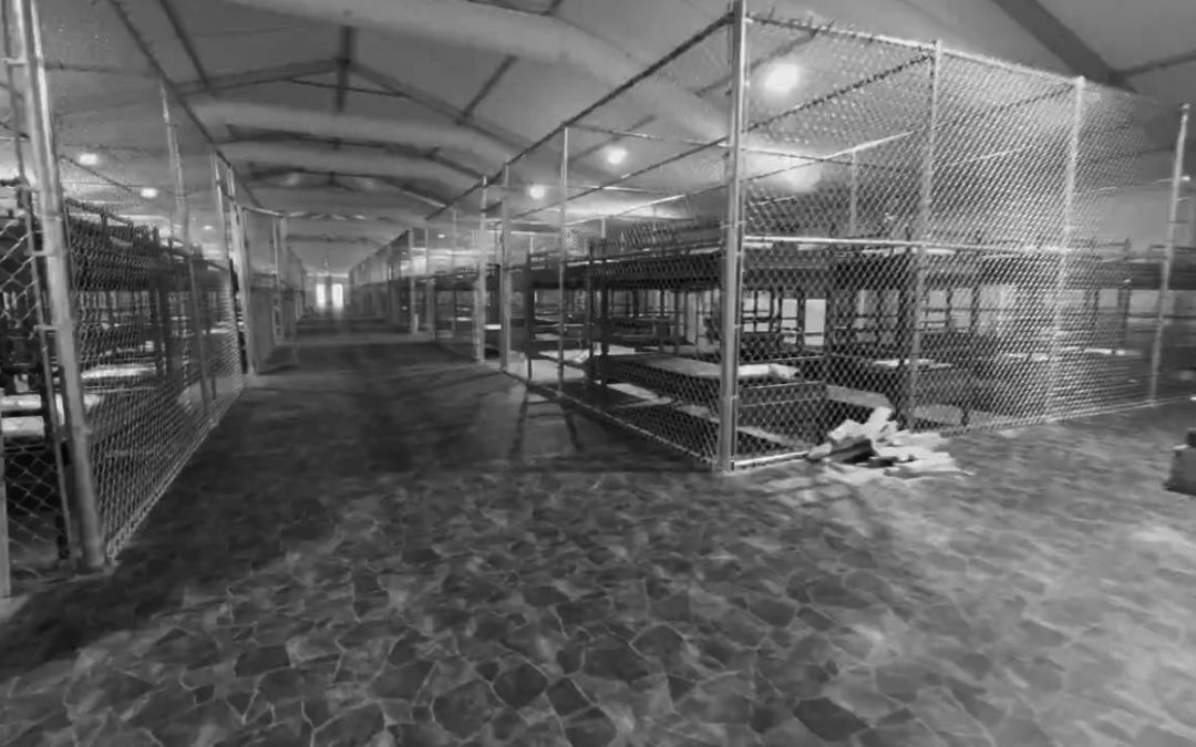 What Kind of Country Builds Alligator Alcatraz?