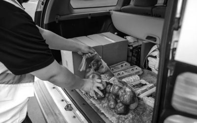 The Gospel According to the Parking Lot