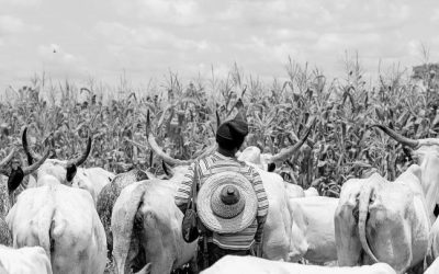 Nigeria Isn’t a Holy War — It’s a Land War We’re Lying About