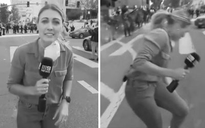 I Wrote the Field Gear Chapter for War Zones; Now It Applies at Home